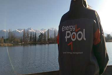 Energy Pool : the smart energy manager of complex systems