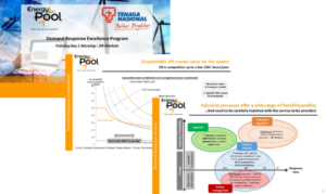 Energy Pool study on flexibility demand response in regulated markets